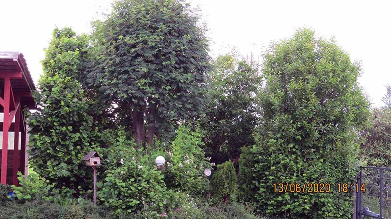 Casa Roja Villa Hilders Bagian luar foto